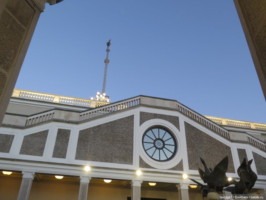 Little Dal на теле Enchantimals