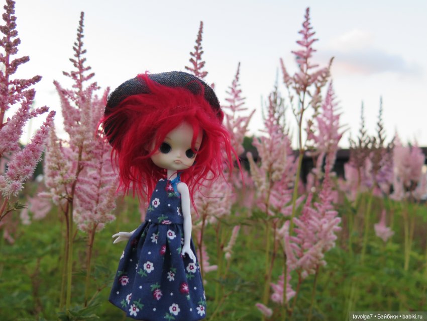 Little Dal на теле Enchantimals