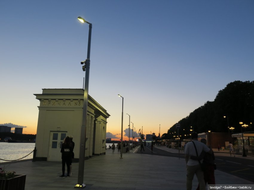 Little Dal на теле Enchantimals