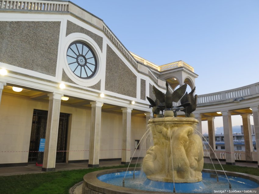 Little Dal на теле Enchantimals