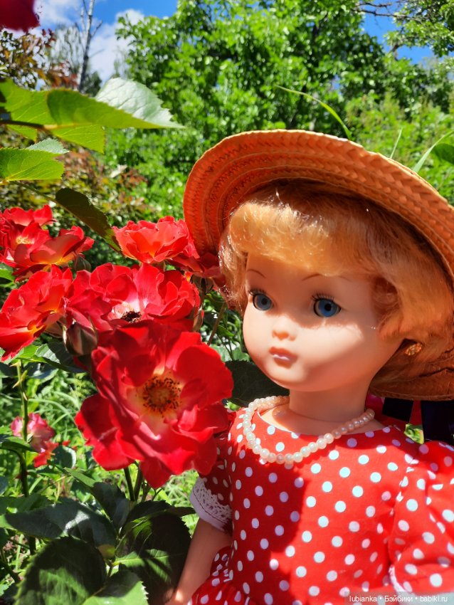 Моя королева среди королев