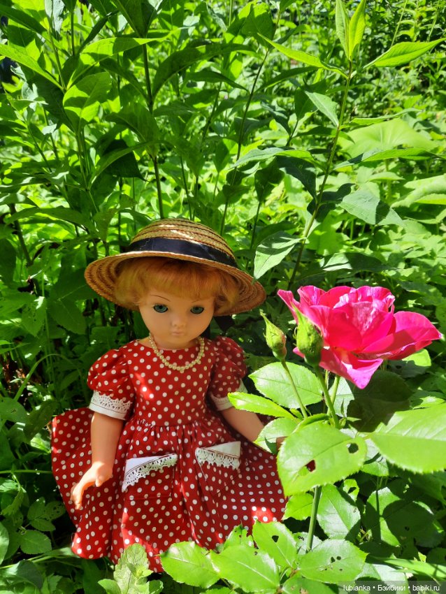 Моя королева среди королев