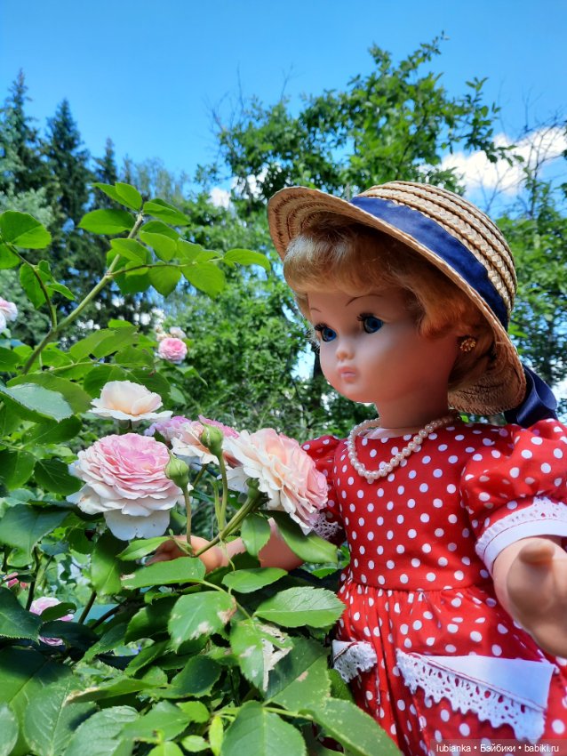 Моя королева среди королев