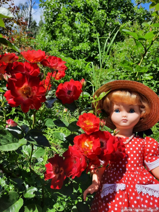 Моя королева среди королев