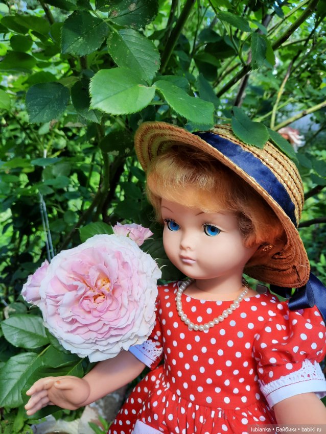 Моя королева среди королев