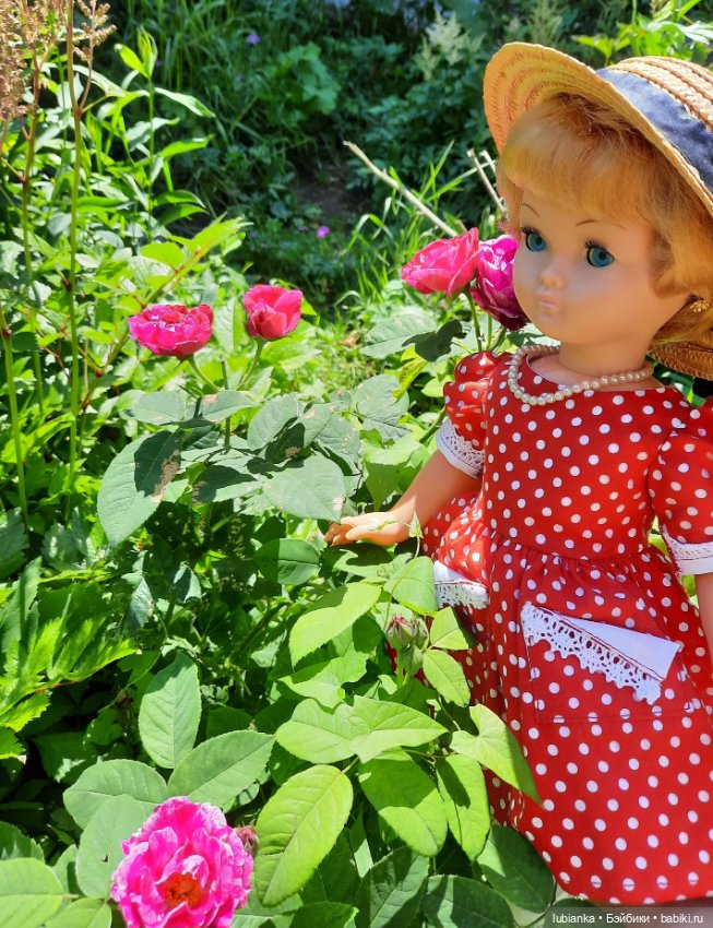 Моя королева среди королев