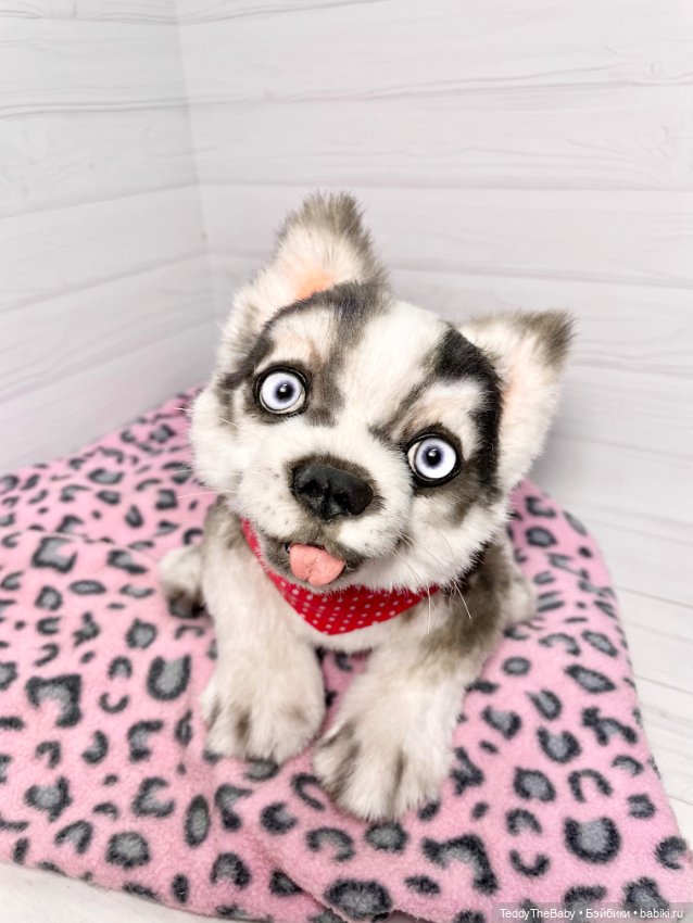 Акито 🐶🐾🐾🐾 — Реалистичные игрушки и звери (Натюр): собаки