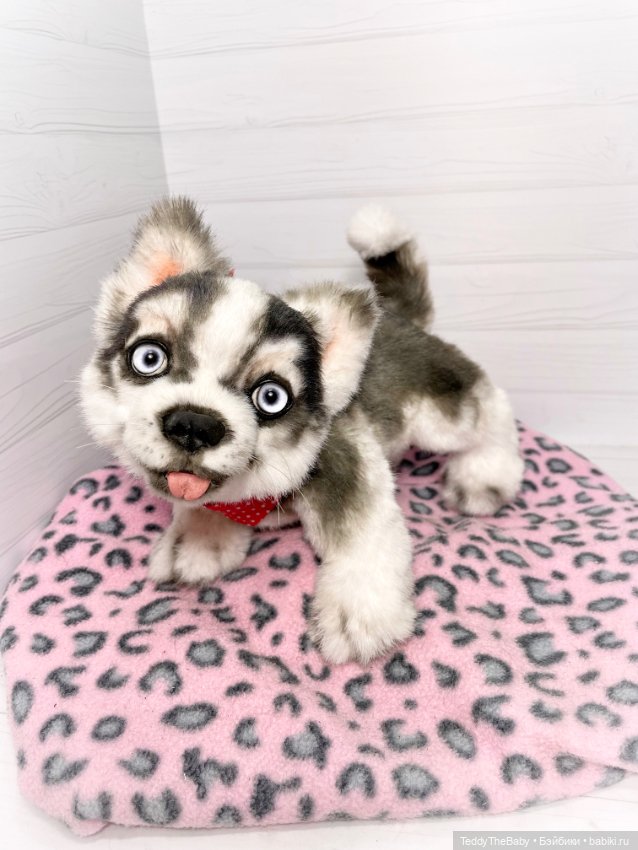 Акито 🐶🐾🐾🐾 — Реалистичные игрушки и звери (Натюр): собаки