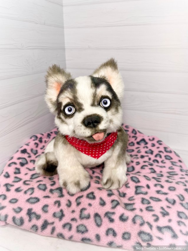 Акито 🐶🐾🐾🐾 — Реалистичные игрушки и звери (Натюр): собаки