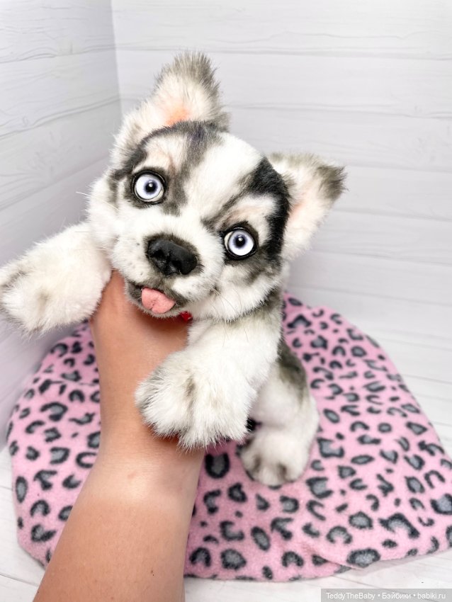 Акито 🐶🐾🐾🐾 — Реалистичные игрушки и звери (Натюр): собаки