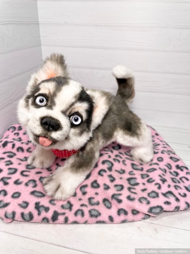 Акито 🐶🐾🐾🐾 — Реалистичные игрушки и звери (Натюр): собаки