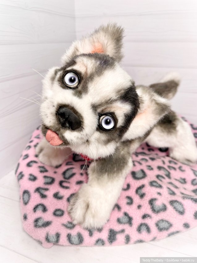 Акито 🐶🐾🐾🐾 — Реалистичные игрушки и звери (Натюр): собаки