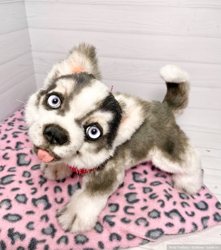 Акито 🐶🐾🐾🐾 — Реалистичные игрушки и звери (Натюр): собаки