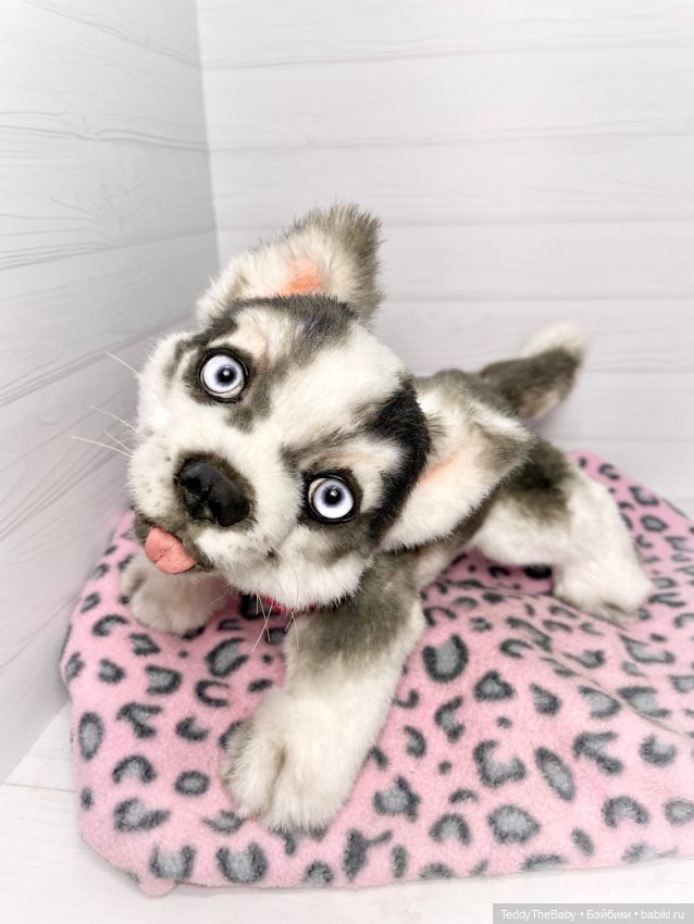 Акито 🐶🐾🐾🐾 — Реалистичные игрушки и звери (Натюр): собаки