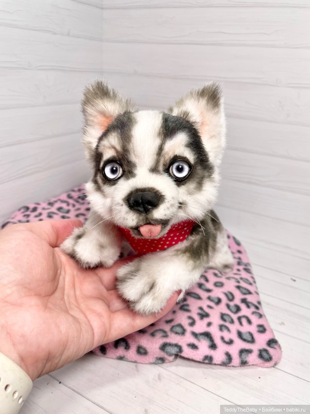 Акито 🐶🐾🐾🐾 — Реалистичные игрушки и звери (Натюр): собаки (фото 7)