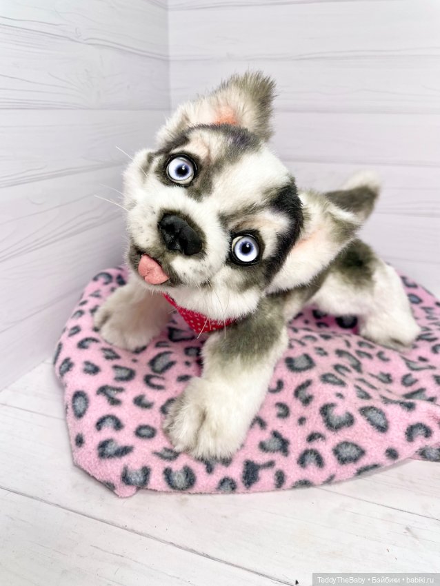 Акито 🐶🐾🐾🐾 — Реалистичные игрушки и звери (Натюр): собаки