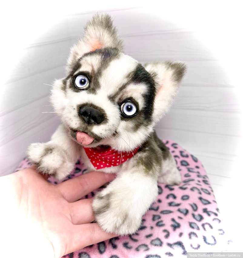 Акито 🐶🐾🐾🐾 — Реалистичные игрушки и звери (Натюр): собаки (фото 2)