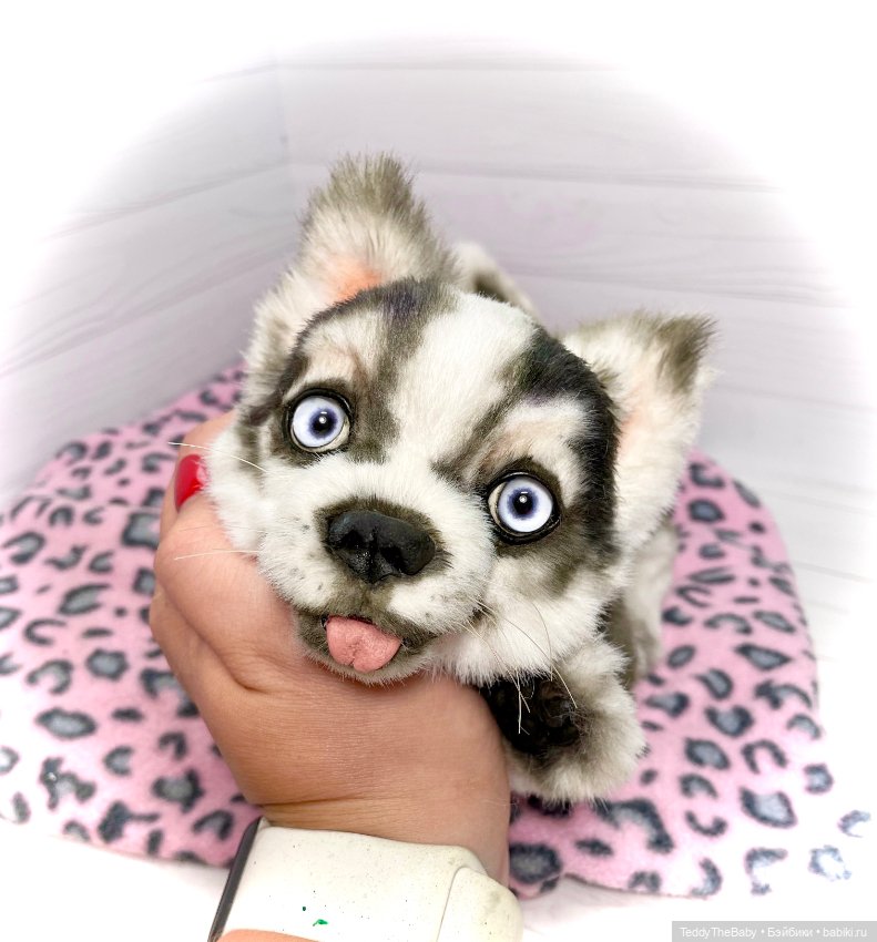 Акито 🐶🐾🐾🐾 — Реалистичные игрушки и звери (Натюр): собаки (фото 8)