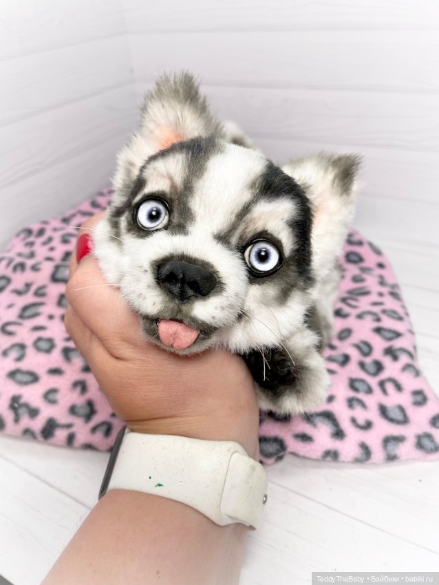 Акито 🐶🐾🐾🐾 — Реалистичные игрушки и звери (Натюр): собаки (фото 9)