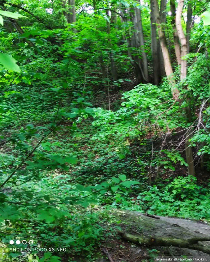 Парк Коломенское и Паолочка