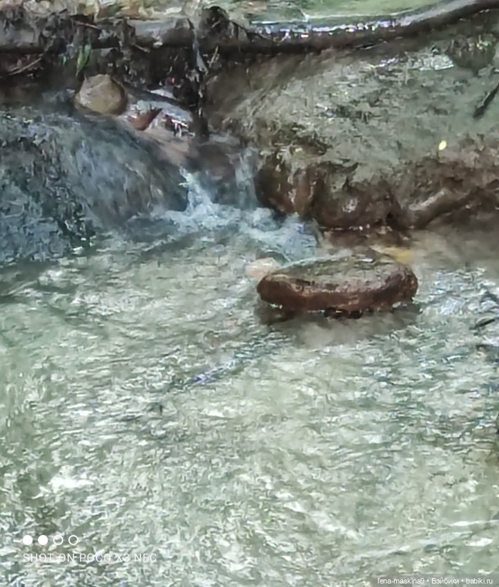 Парк Коломенское и Паолочка