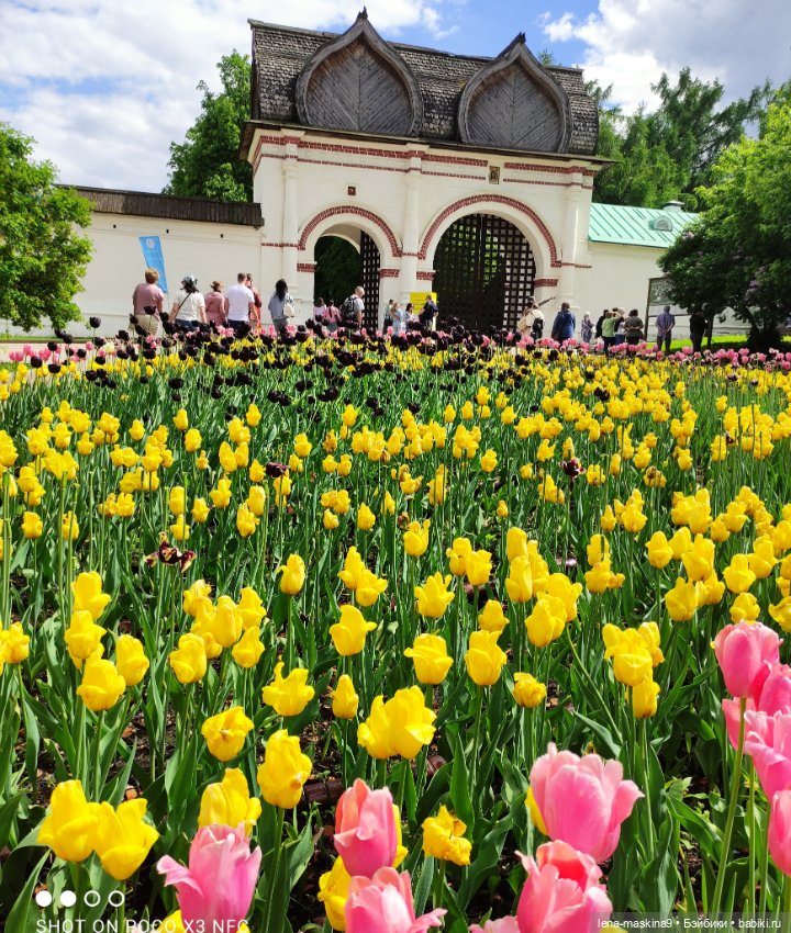 Парк Коломенское и Паолочка