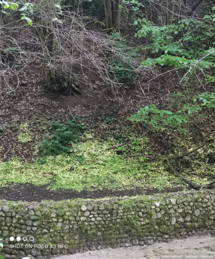 Парк Коломенское и Паолочка