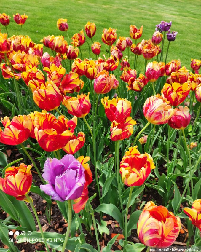 Парк Коломенское и Паолочка