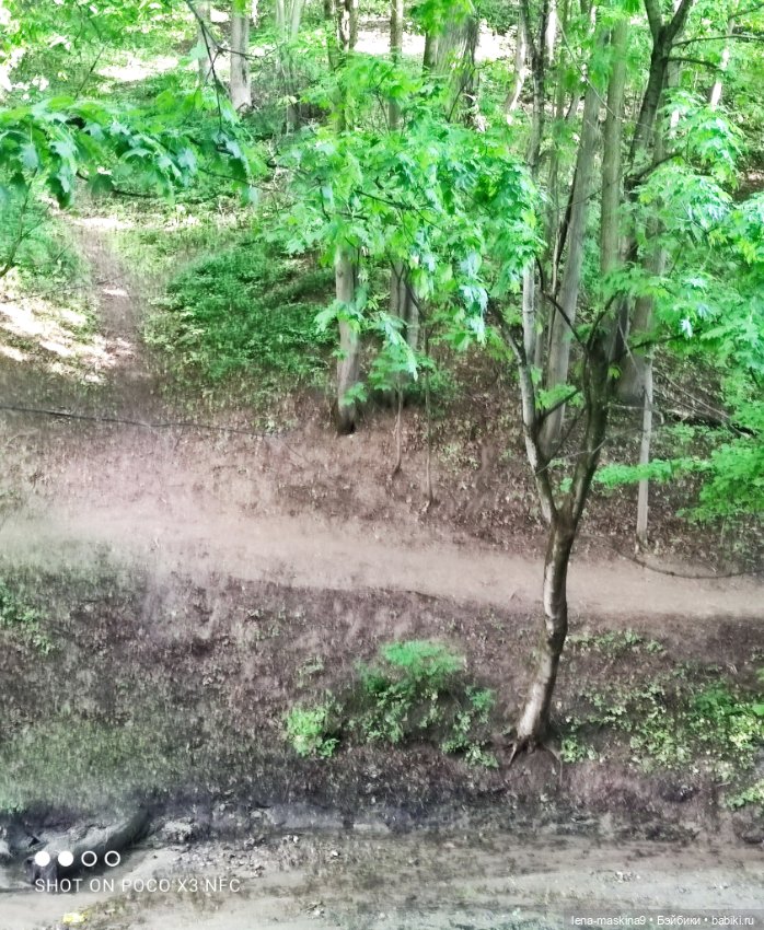 Парк Коломенское и Паолочка