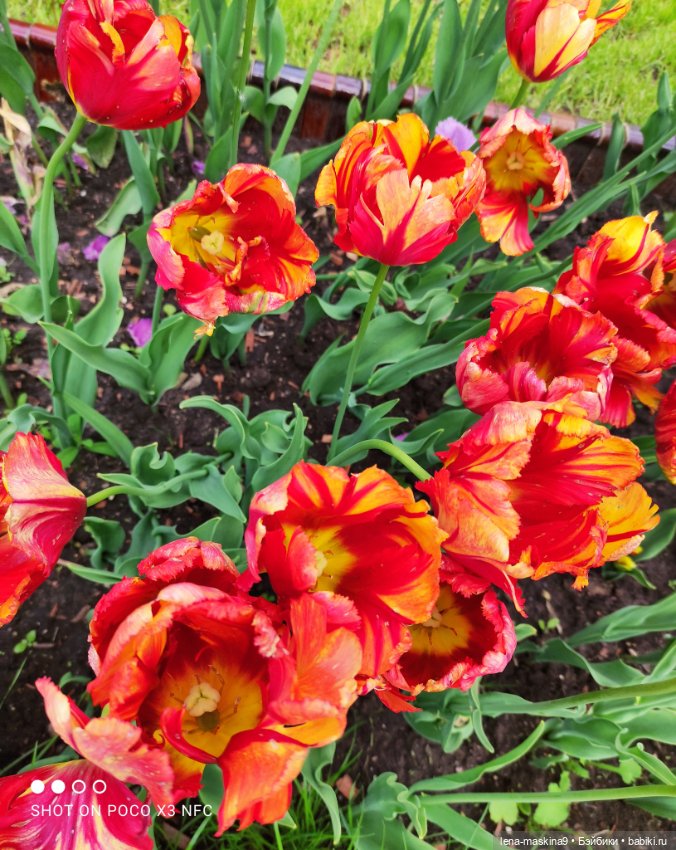 Парк Коломенское и Паолочка