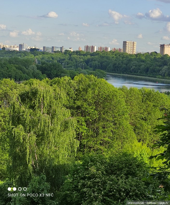 Парк Коломенское и Паолочка