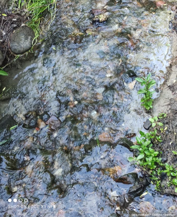 Парк Коломенское и Паолочка