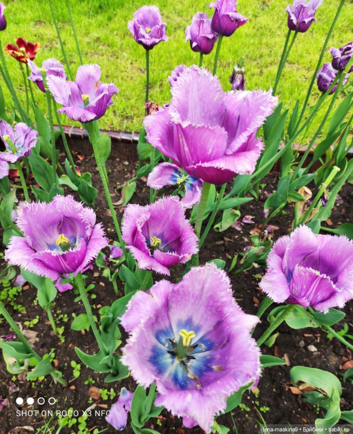 Парк Коломенское и Паолочка