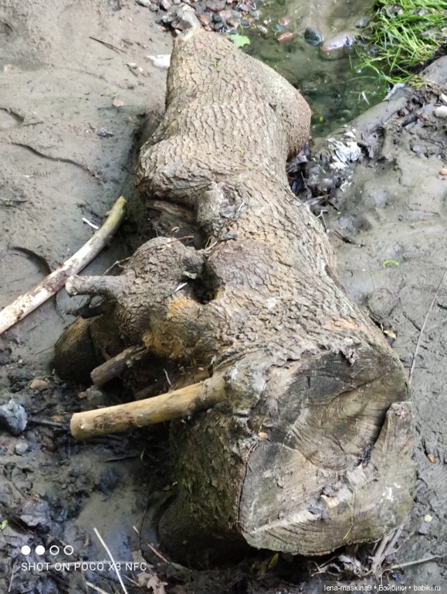 Парк Коломенское и Паолочка