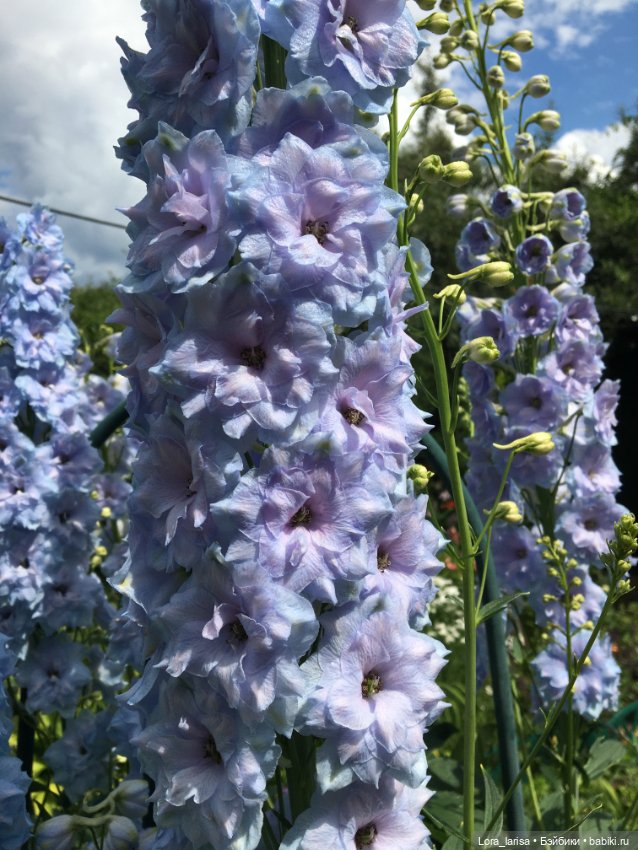 Продолжаем одеваться. На даче. Часть 3