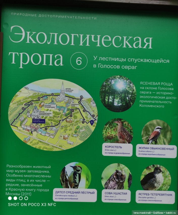 Парк- заповедник"Коломенское "и Клубничка