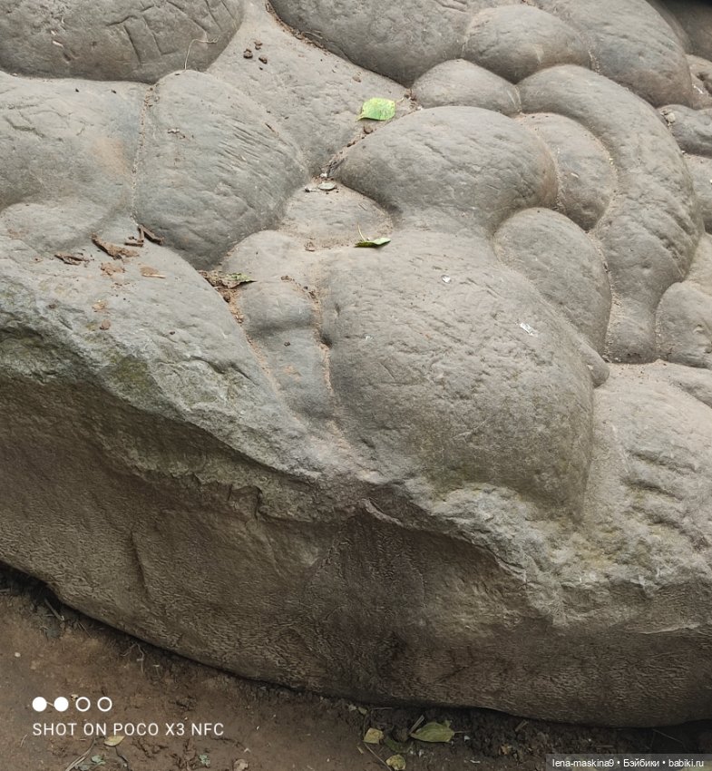 Парк- заповедник"Коломенское "и Клубничка