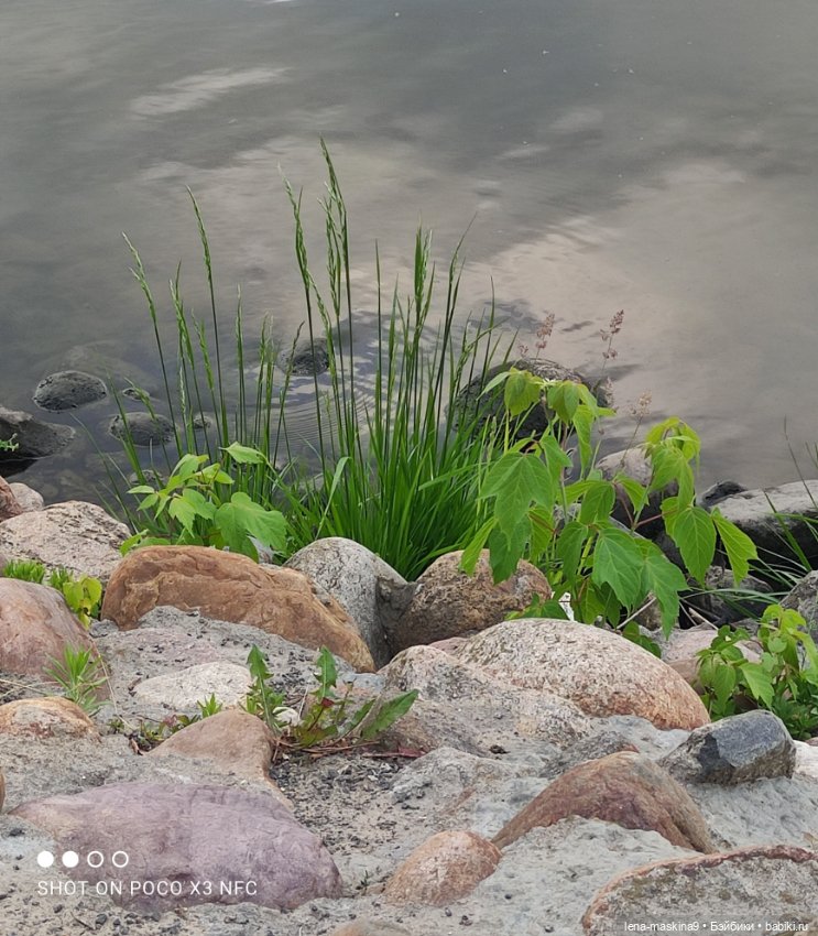 Парк- заповедник"Коломенское "и Клубничка (фото 6)