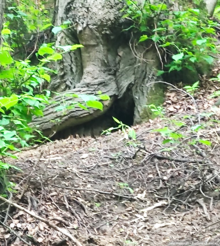Парк- заповедник"Коломенское "и Клубничка