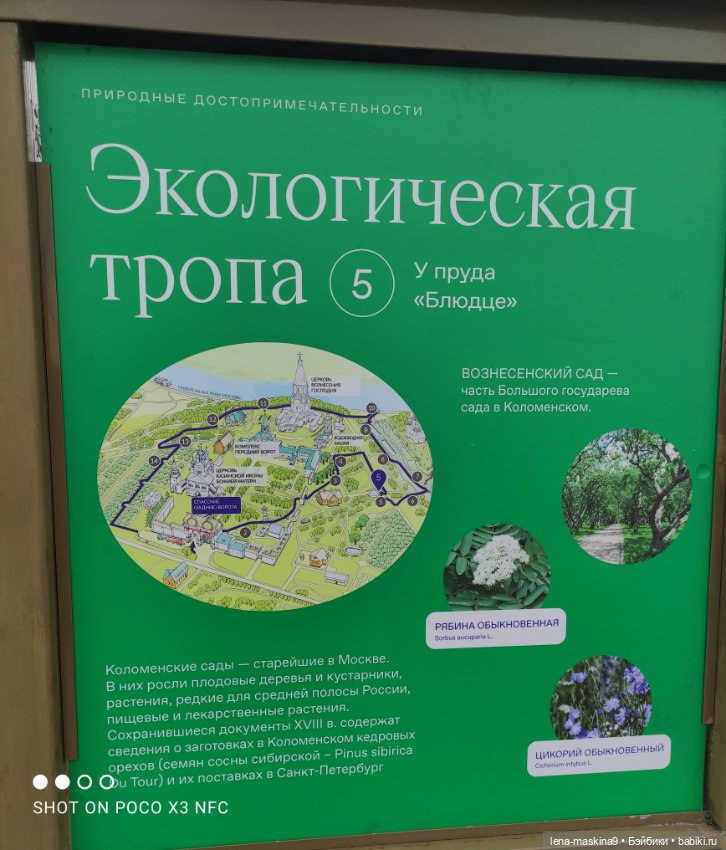 Парк- заповедник"Коломенское "и Клубничка