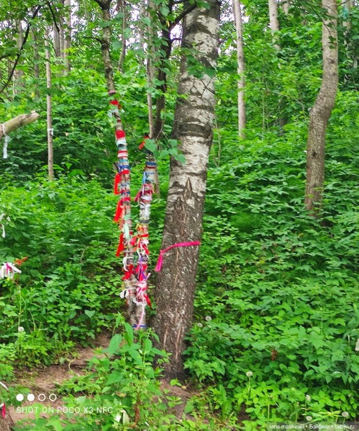Парк- заповедник"Коломенское "и Клубничка