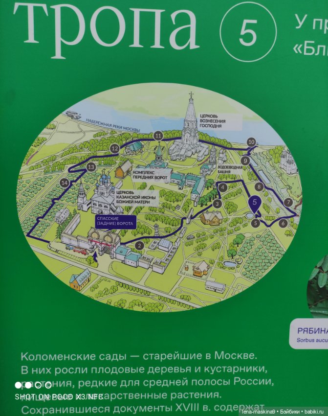 Парк- заповедник"Коломенское "и Клубничка