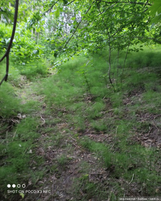 Парк- заповедник"Коломенское "и Клубничка