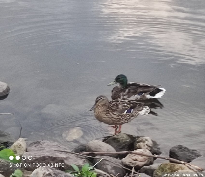 Парк- заповедник"Коломенское "и Клубничка (фото 3)