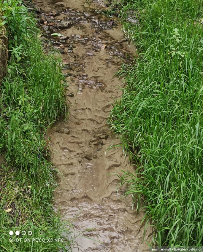 Парк- заповедник"Коломенское "и Клубничка