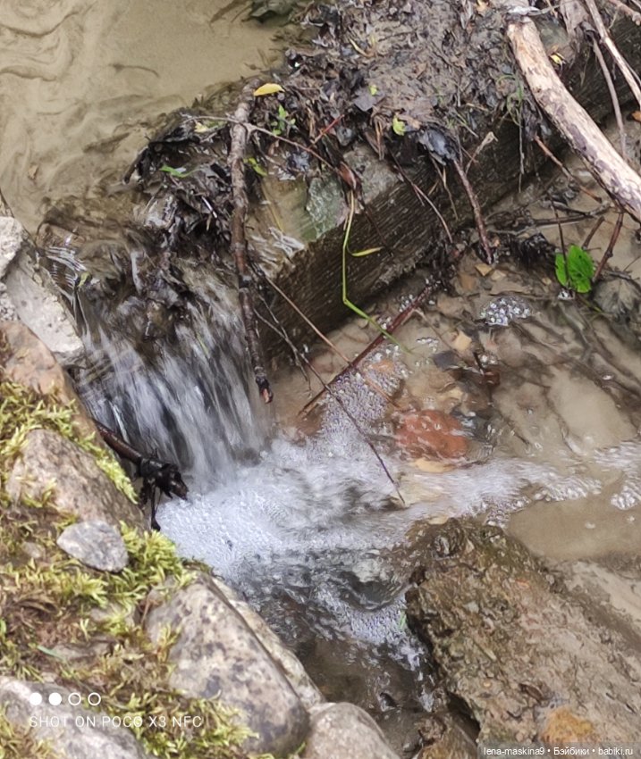 Парк- заповедник"Коломенское "и Клубничка
