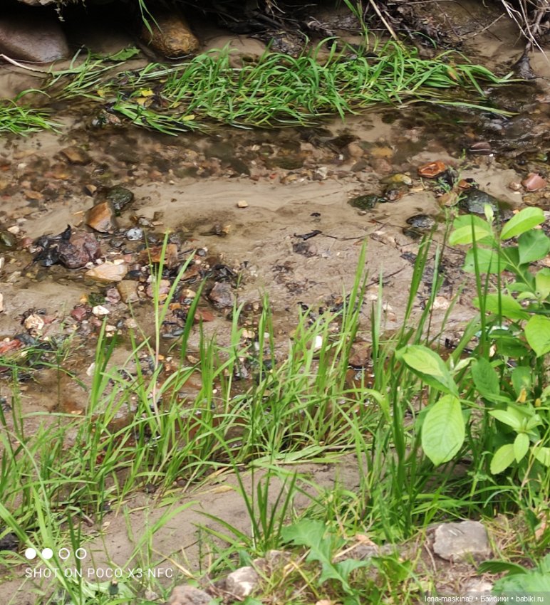 Парк- заповедник"Коломенское "и Клубничка