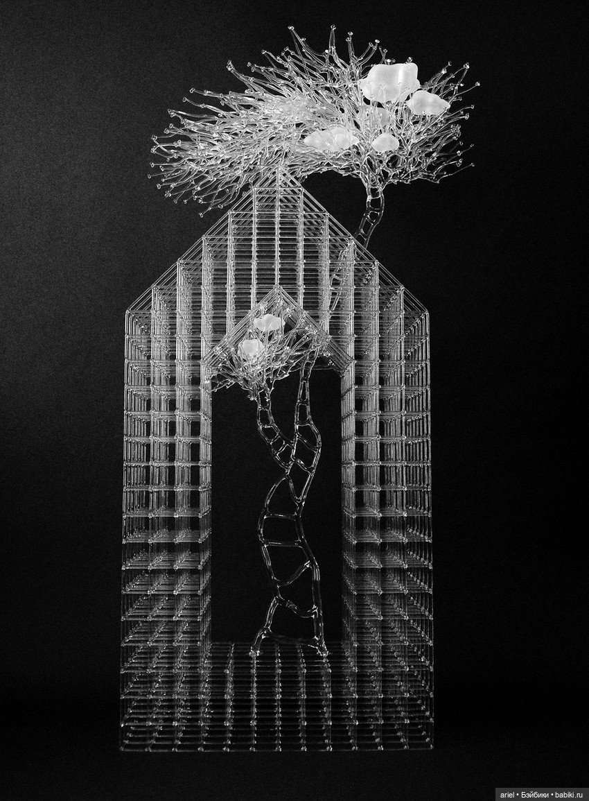 Скульптуры из стекла от Ынсу Чой (Eunsuh Choi) (фото 3)