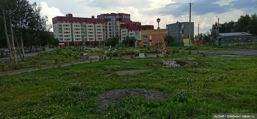 Небольшой кусочек нашего города. Цветочки