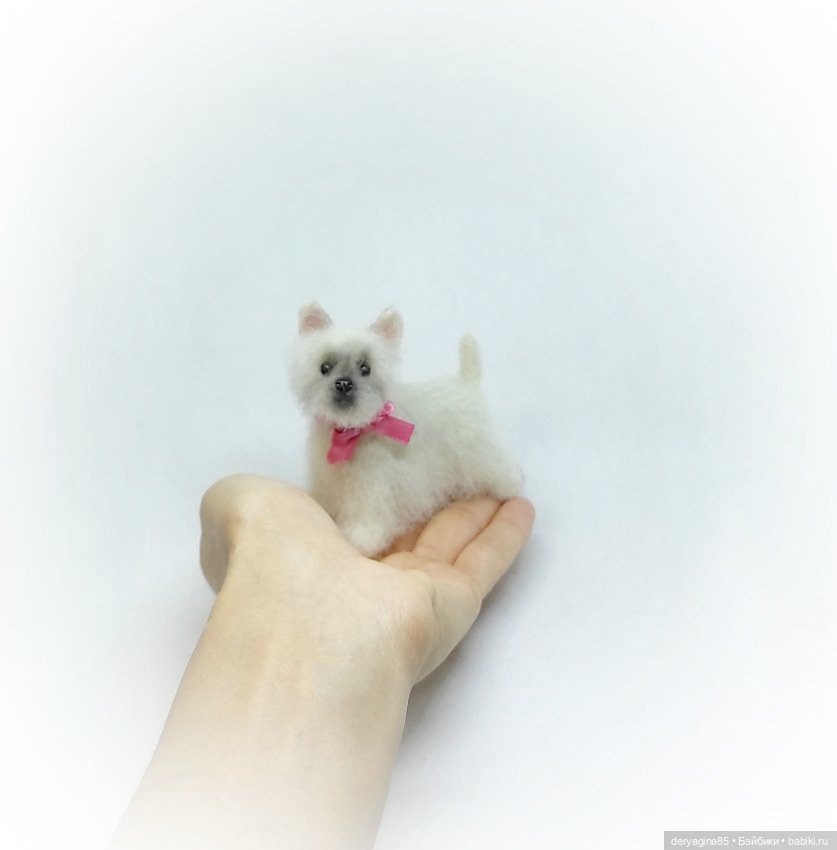 Малыш Вест Хайленд Уайт терьер (фото 7)